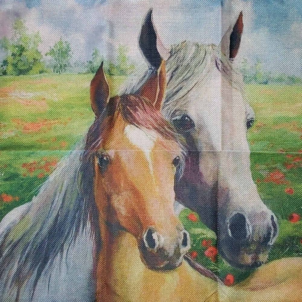 Horse Pillow Cover Pony Western Country Farm Decor - Picture 9 of 9